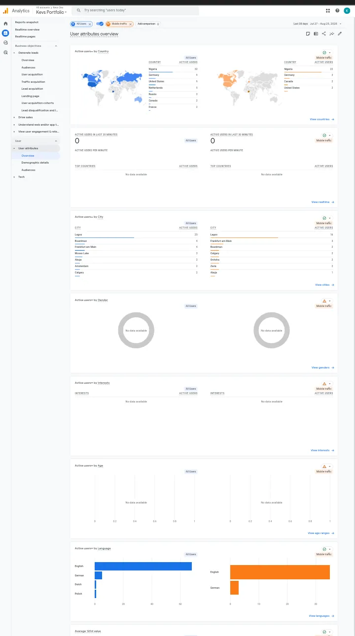 GA4 user attributes overview for this portfolio page, showing demographics and behavior data.